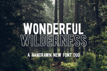 Wonderful Wilderness Font Duo