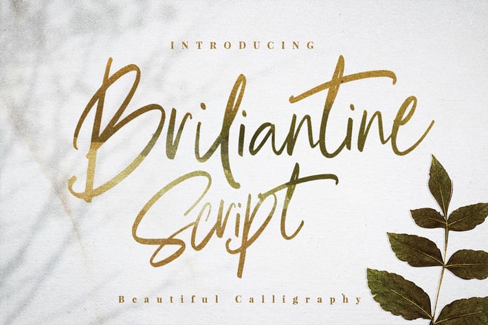 Briliantine Cute Classy, Modern Stylish Script