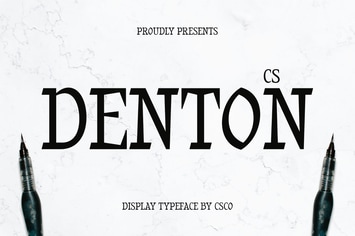 Denton – Flat Brush Font