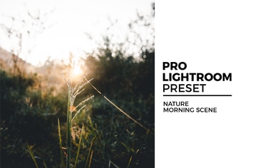 Nature Morning Scene Preset