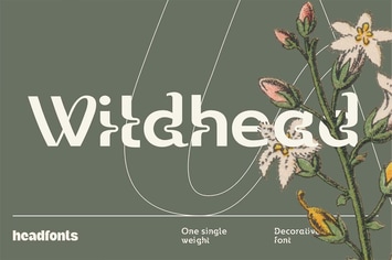 Wildhead Display Font