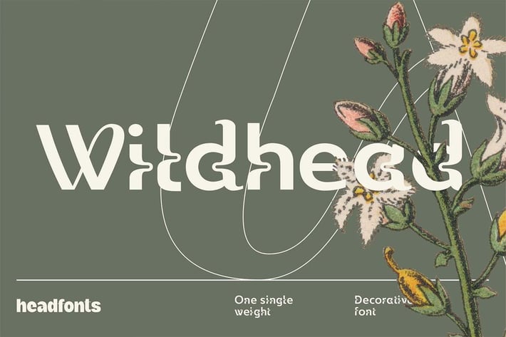 Wildhead Display Font