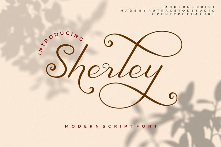 Sherley - Elegant Lovely Script Font