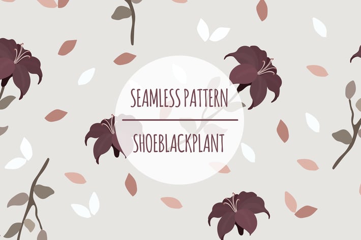 Shoeblackplant – Seamless Pattern
