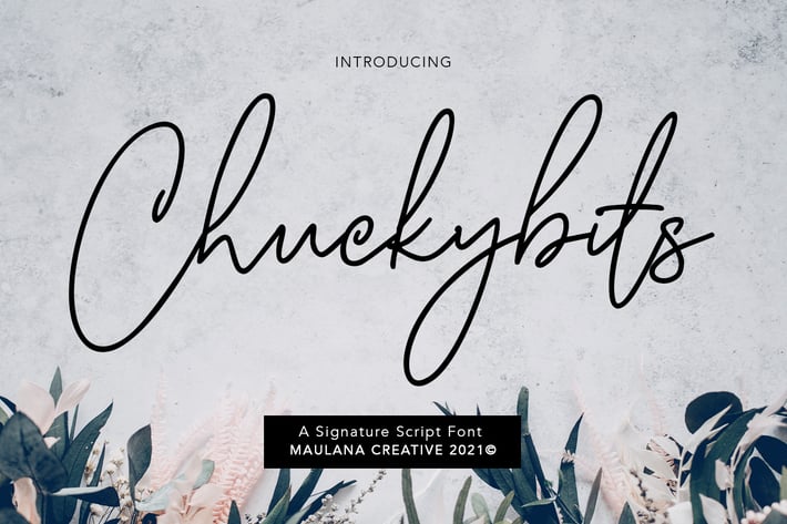 Chuckybits Fancy Signature Script Font