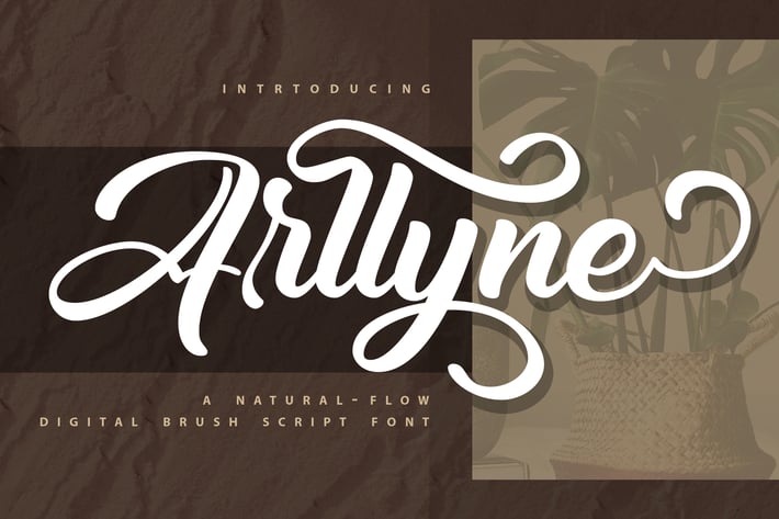 Arllyne Script Font