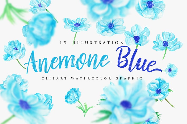 15 Watercolor Anemone Blue Flower Illustration