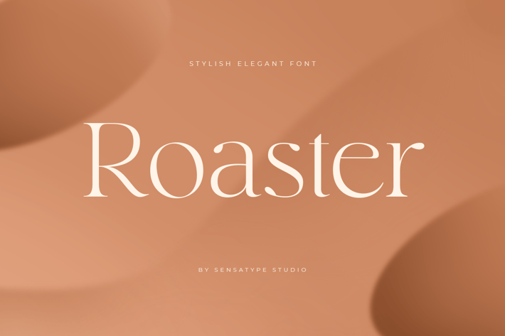 Roaster - Stylish Elegant Font