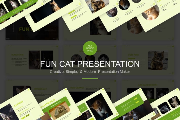 Fun Cat Presentation Template