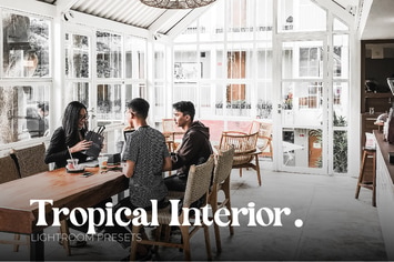 Tropical Interior Lightroom Preset