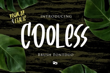 Cooless - Brush Font 