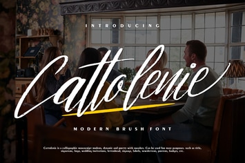 Cattaloenie | Modern Brush Font