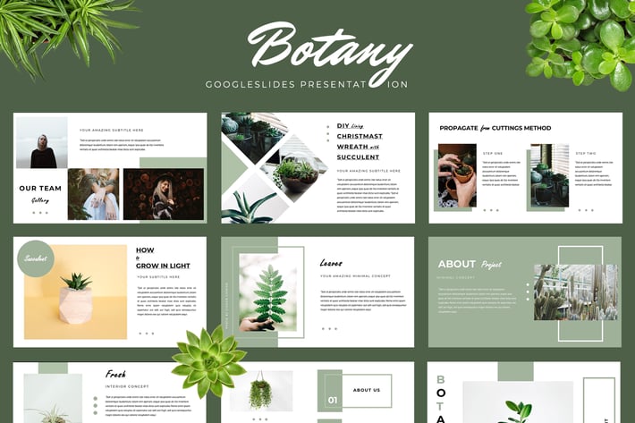 Botany Google Slides Presentation