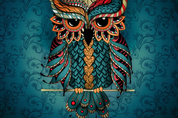 Owl in blue and orange colors