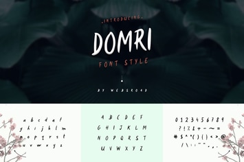 Domri - Fresh Handwritten Font Style
