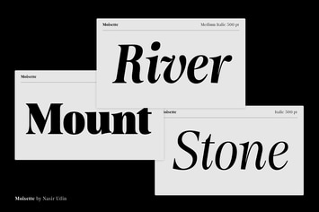 Moisette - 14 Fonts