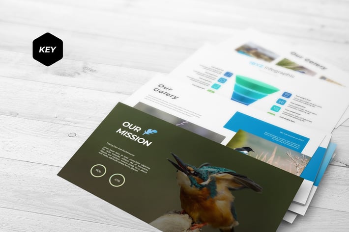 Ibyz - Keynote Template