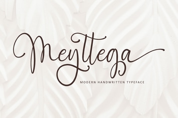 Meyttega