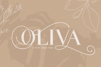 Oliva Serif Font Trio
