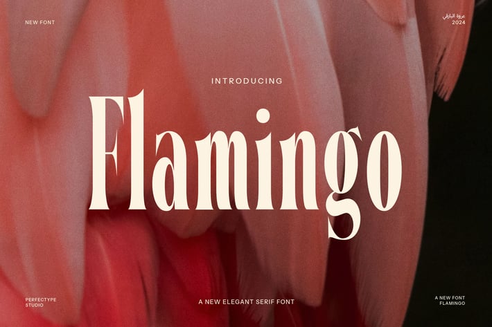 Flamingo Modern Serif Font