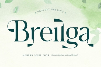 Breilga Modern Serif Font 