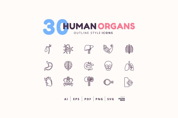 30 Icons Human Organs Outline Style