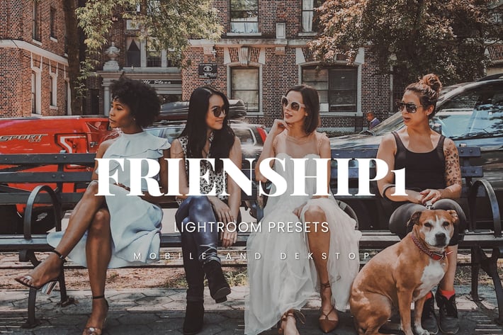Friendship1 Lightroom Presets Dekstop and Mobile