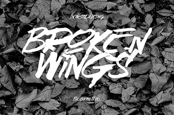 Broken Wings