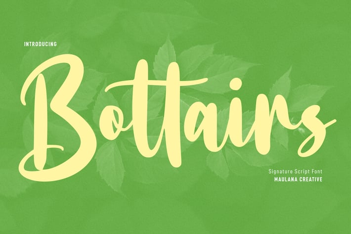 Bottairs Script Font