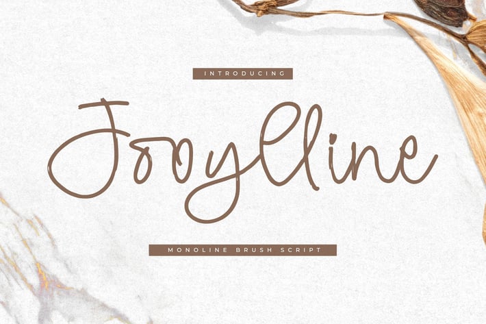 Jooylline Monoline Brush Script Font