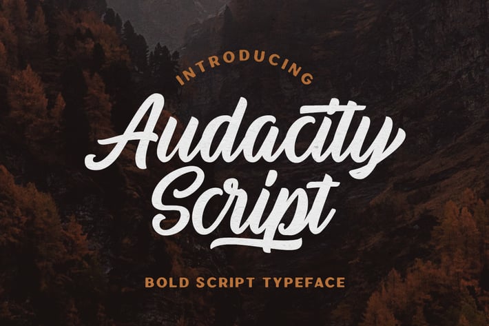 Audacity Script - Adventure Typeface