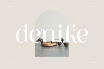 Denike - Stylish Modern Serif
