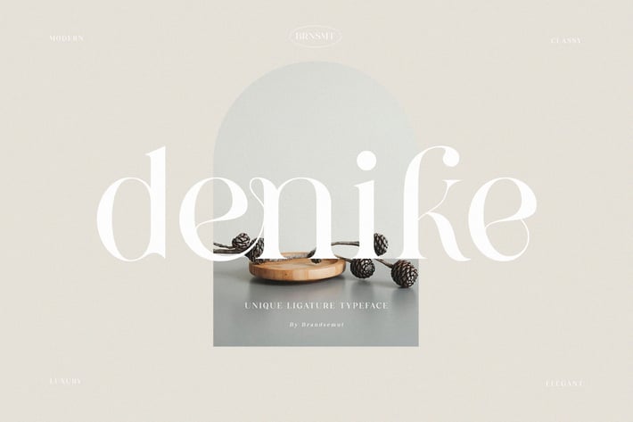 Denike - Stylish Modern Serif