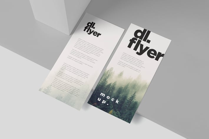 Single Page DL Flyer Mockups