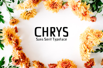 Chrys Sans Serif Font Family Pack