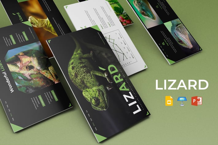 Lizards - Presentation Template