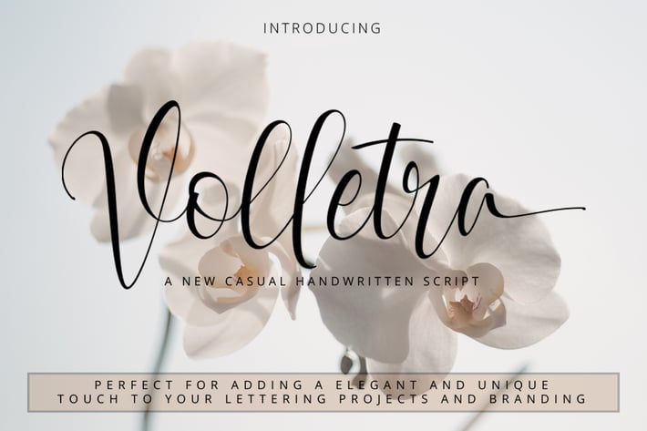 Volletra Script