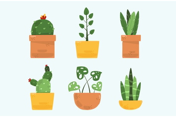 Houseplants Illustration (2)