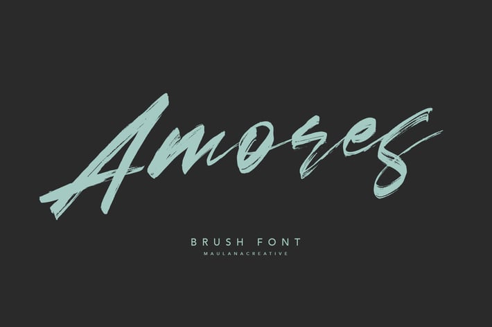 Amores Brush Signature Handmade Font Typeface