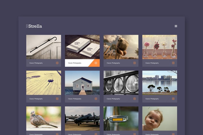 Strella - Creative Minimal Portfolio