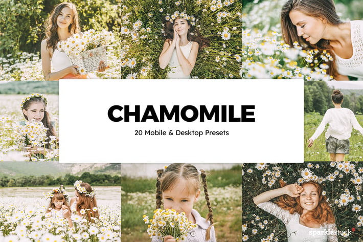 20 Chamomile Lightroom Presets & LUTs