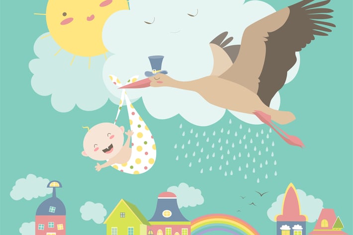 Stork is flying in the sky with baby