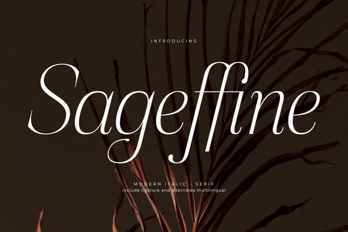 Sageffine Modern Italic Serif Font