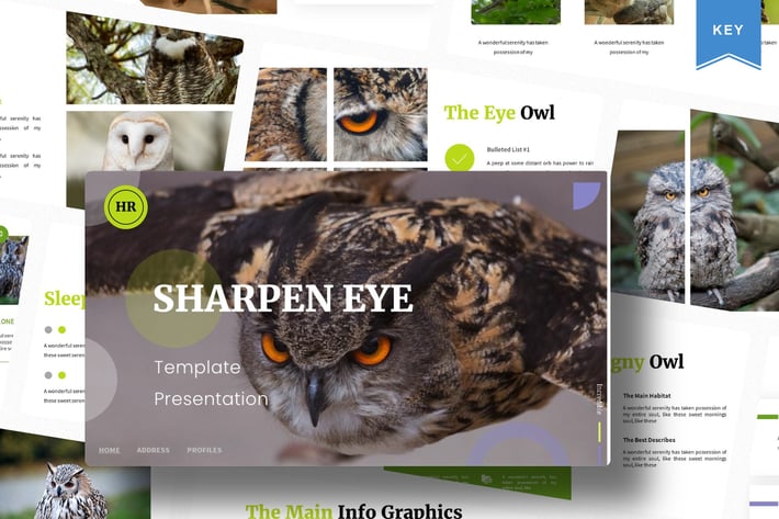 Sharpen Eye | Keynote Template