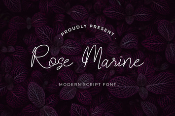 Rose Marine Handwritten Script