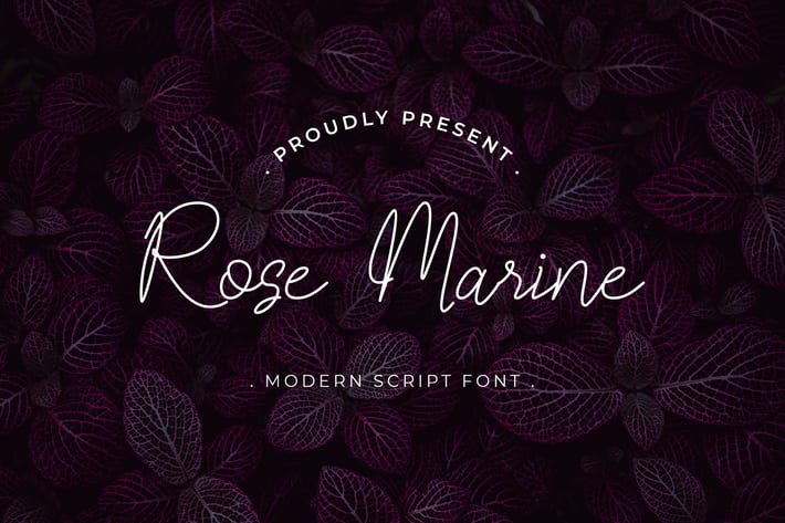 Rose Marine Handwritten Script