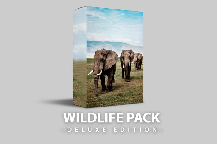 Wildlife | Deluxe  Edition for mobile and desktop