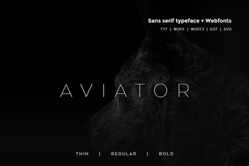 Aviator - Modern Typeface + WebFont