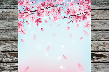 Blue Spring Background with Flowers