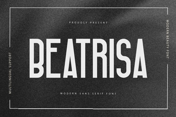 Beatrisa - Modern Sans Serif Font